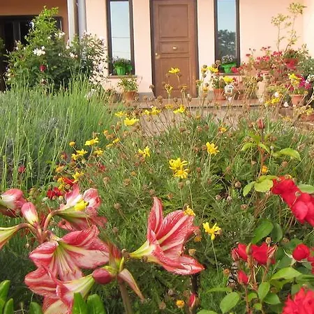 Frühstückspension Il Vigneto