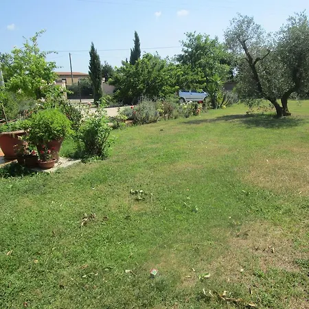 Il Vigneto 2*