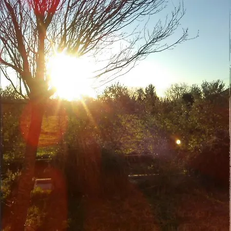 Il Vigneto Tuscania