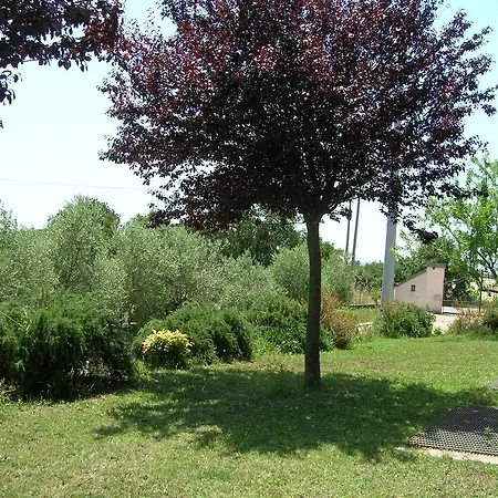 Il Vigneto Frühstückspension 2*