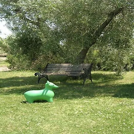 Il Vigneto