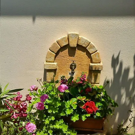 Il Vigneto 2*