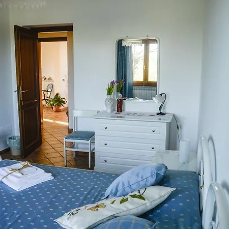Il Vigneto
