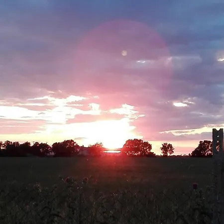 Il Vigneto 2*