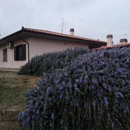 Il Vigneto 2* Tuscania